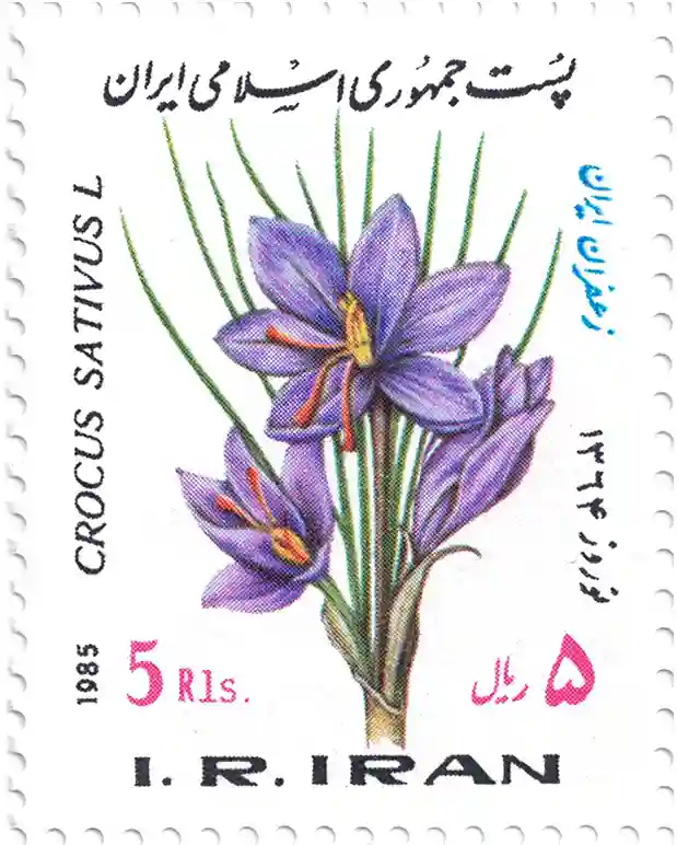 Francobollo iraniano raffigurante il Crocus sativus